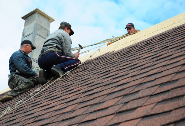 Best Roof Gutter Cleaning  in Harbor Hills, OH